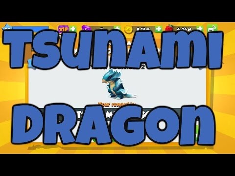 Tsunami, Tracht & Update Dragons