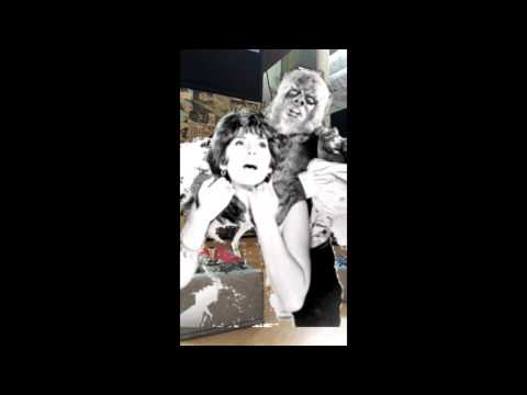 Tran-Sister Green Ringer and Harmonic Percolator clone pedals