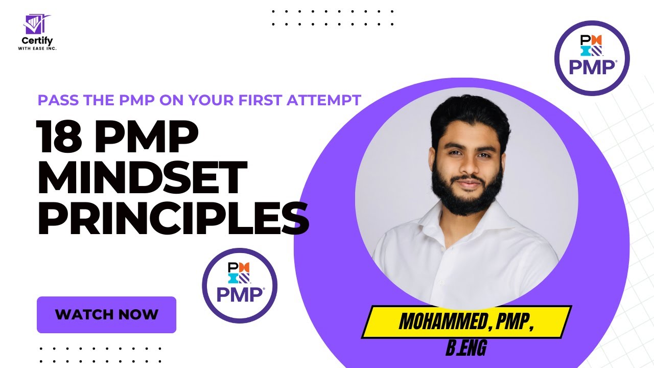 18 PMP Mindset Principles