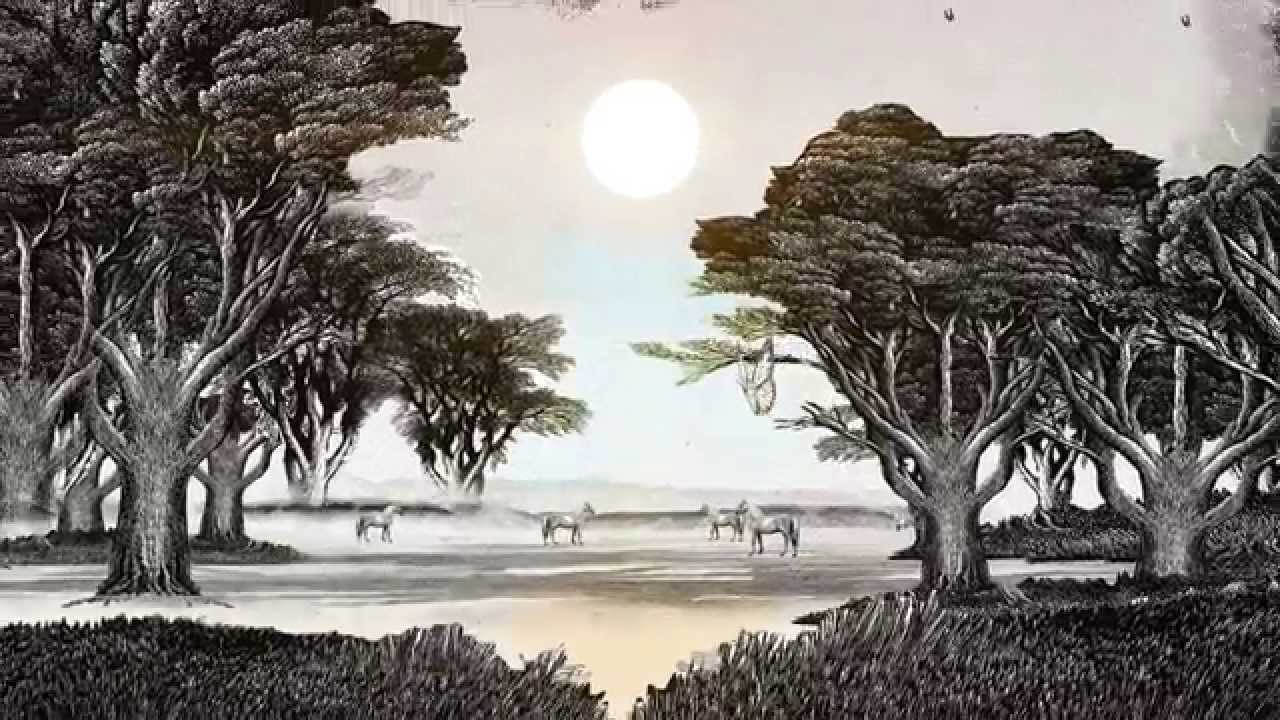 The Deep Carbon Observatory