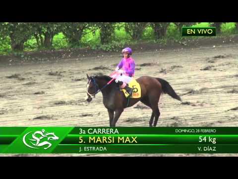 Carreras en Vivo, Domingo 28 de Febrero del 2016