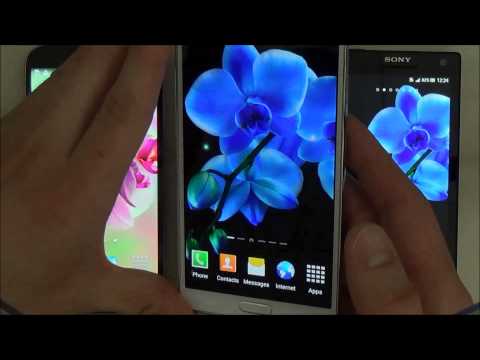 Orchids Wallpaper Video