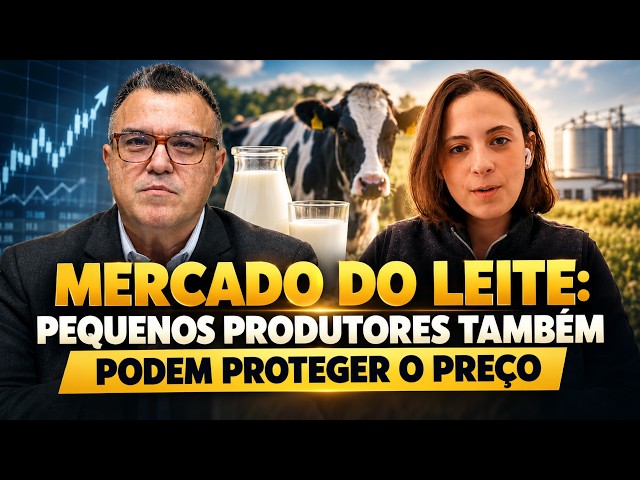 Mercado do leite: pequenos produtores podem proteger o preço.