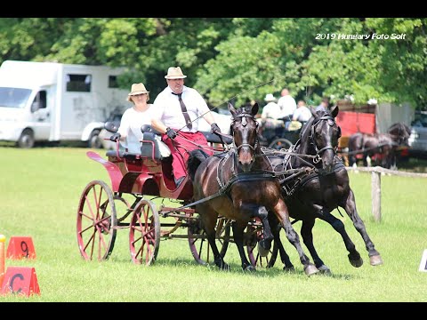 Losó Balázs 2021 - Kispej lovam jár a sárban Ludányi Albertnek