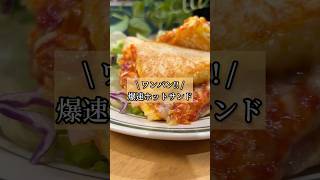 正直レビュー!! 「ワンパン爆速ホットサンド」　#簡単レシピ #ワンパンレシピ #ホットサンド #食パンレシピ