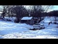Настоящая история DayZ в реальной жизни! 