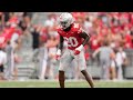 Arvell Reese Full 2024 Highlights Ohio State LB