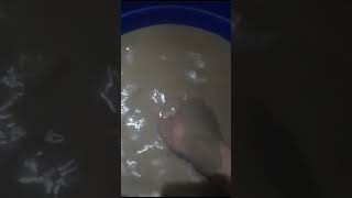 Download lagu Gery saluut | #oddlysatisfying #shorts mp3