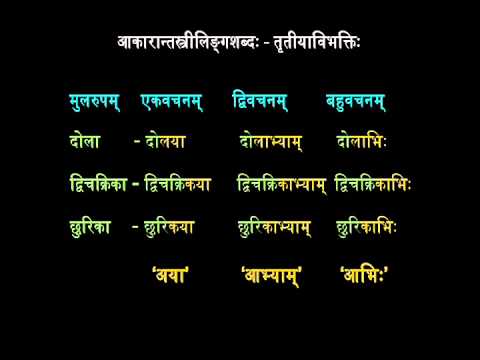 6.1 (Part B) तृतीया विभक्तिः (आकारान्त-स्त्रीलिङ्गशब्दाः)