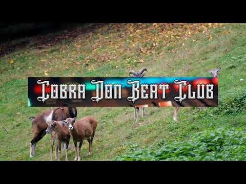 Sada Baby Type Beat Bada Cobra Don Beat Club 2021