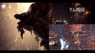 モンハンアイスボーン［参加型］マスターマム周回