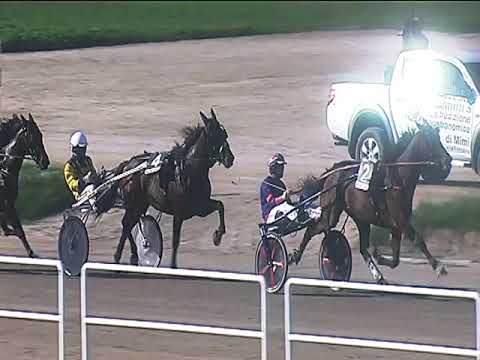 Trotto 16/10/2018 - 2ª corsa