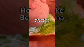 How To Make Beef Balogna at Home | Only 3 INGREDIENTS!