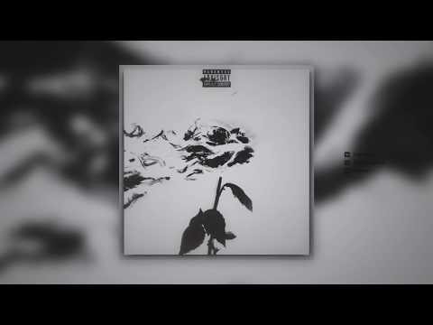 Moeazy feat. KADI - Never Give Up on Love (Official Audio)