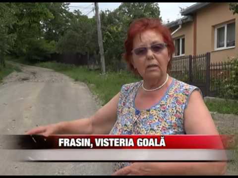Frasin, vistieria goală