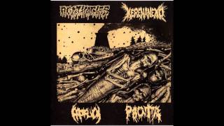 Agathocles - VMO