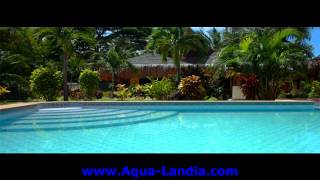 preview picture of video 'Dauin Dive Resort - +63-917-700-7749'