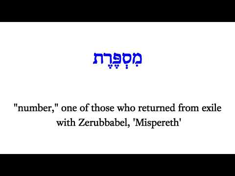 H4559 מִסְפֶּרֶת