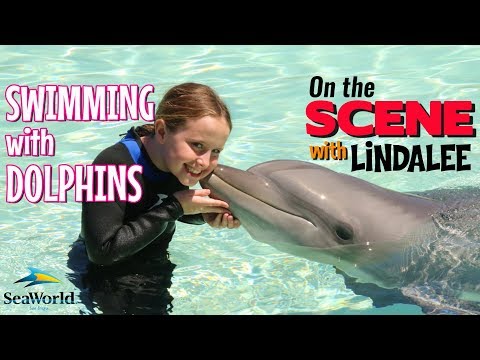 I Swam and Learned about DOLPHINS!!! On the Scene with Lindalee Rose