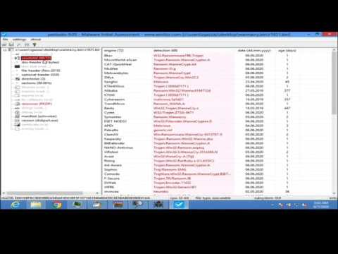 Wannacry Ransomware Analysis and Dissection