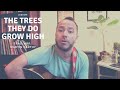 How to Play: The Trees They Do Grow High (Trad. Arr. Martin Carthy)