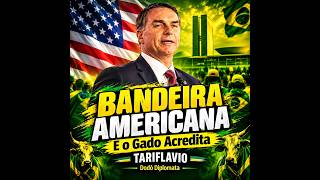 Bandeira Americana e o Gado Acredita (Tariflavio)