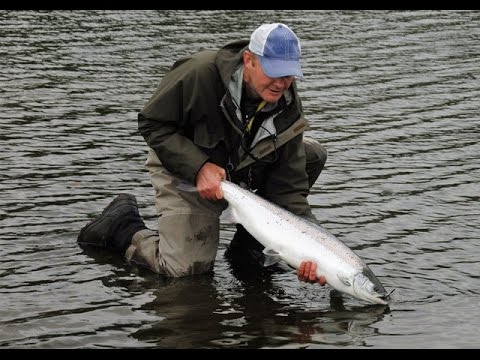 Salmon, River Eden.