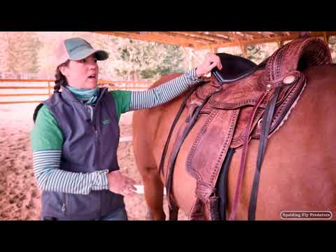 Proper Saddle Fit with Doc Jenni Grimmett DVM