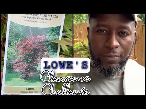 #LowesClearanceChallenge || AJ's Green Thumb, LLC