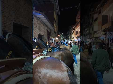 Beautiful horses, Colombian pride, and a tradition that captures every heart.🐴🇨🇴