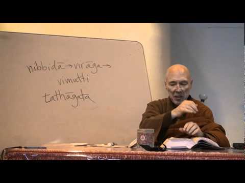 Majjhima Nikaya (MN 22: part 3, section 2, 2010.4.24) Bhikkhu Bodhi.MPG