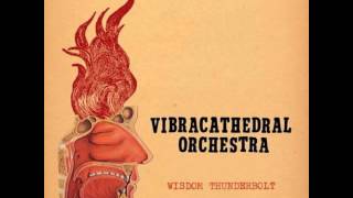 Vibracathedral Orchestra - A Natural Fact