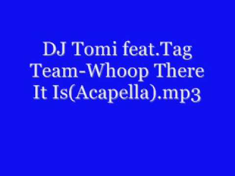 DJ Tomi feat Tag Team- Whoop There It Is (Acapella) mp3
