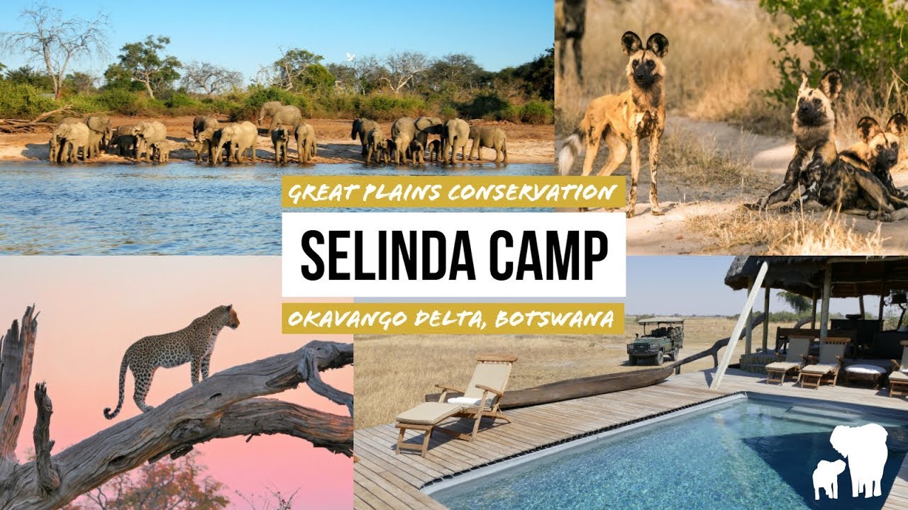 Botswana: Selinda Camp – leiser Luxus mit großem WOW Effekt