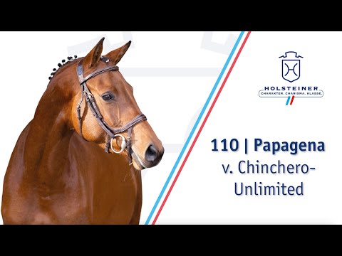 Holsteiner Elite-Reitpferdeauktion: Nr. 110 | Papagena | Auftaktpräsentation 24.11. 2025