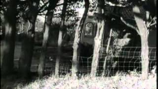 Sweet Jane (With Affection)