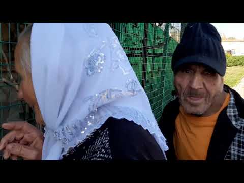 ДЕД МАТВЕЙ, БАБУШКА НАСТЯ И ЛЕША В ЗООПАРКЕ!!!