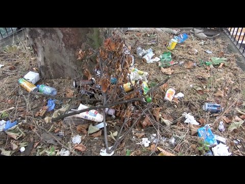 Communities and Local Government Select Committee - Litter inquiry