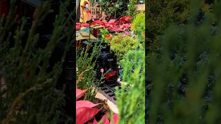 シンガポールの観光スポット #shorts