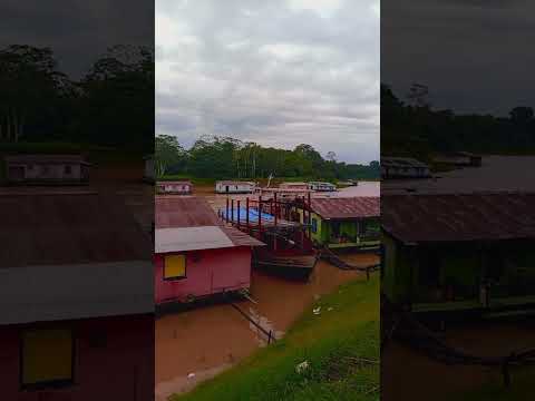 diretamente do município de anamã Estado do Amazonas um ótimo final de semana