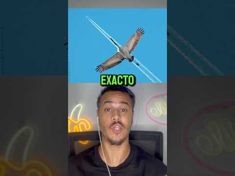 FOTOS Tomadas En El Momento EXACTO Parte 5 😮 #shorts