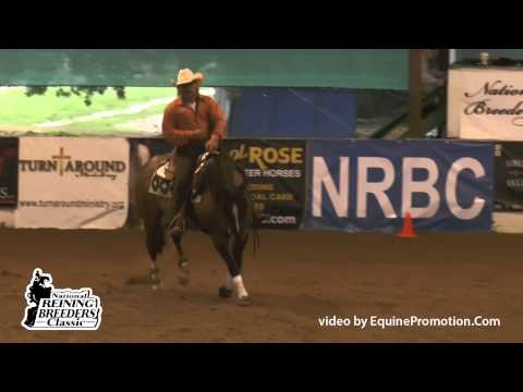 JMB Sam Shutdown ridden by Ricardo Iniguez - 2015 NRBC (Ltd. NP - Show 1)