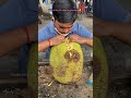 40Kg HUGE Kathal Jackfruit Of Surat Have You Eaten This Jackfruit Surat Streetfood Shorts