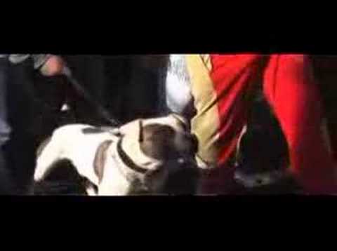 Veddel StreetZ Faroo & Mc Nator