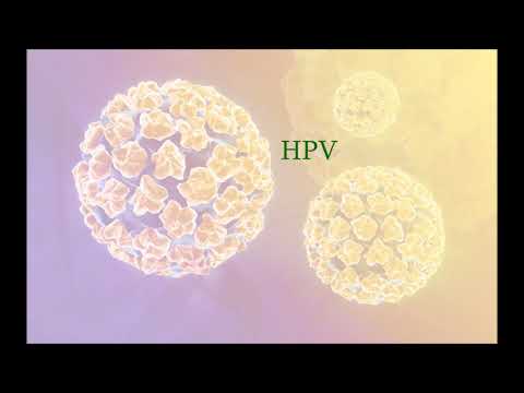 Vaccin papillomavirus femme age
