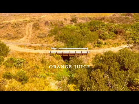 Orange Juice - Calder