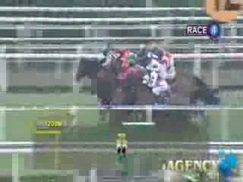 SINGAPORE RACE 17/11/2013 RACE 4 - iAgencyNet.com