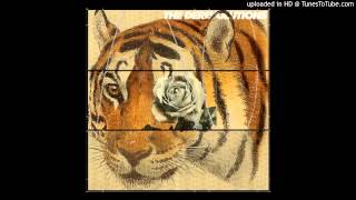 The Derevolutions - We All Fall Down Again