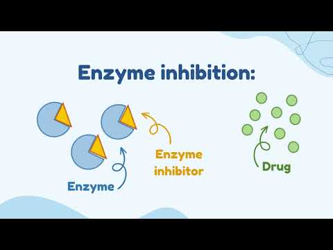 Enzyme Induction VS Enzyme Inhibition