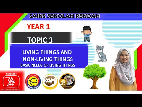 Science Year 1: Basic needs of living Things